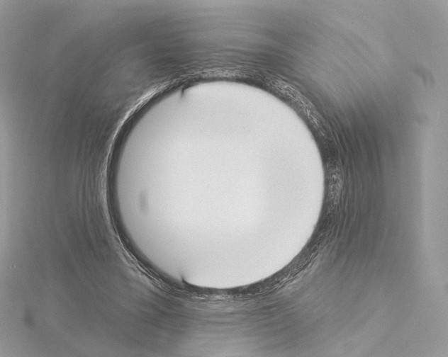 X0000115050395200912071135