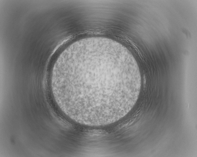 X0000115050396200912071135