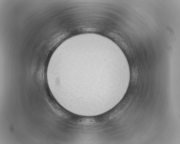 X0000115050398200912071134