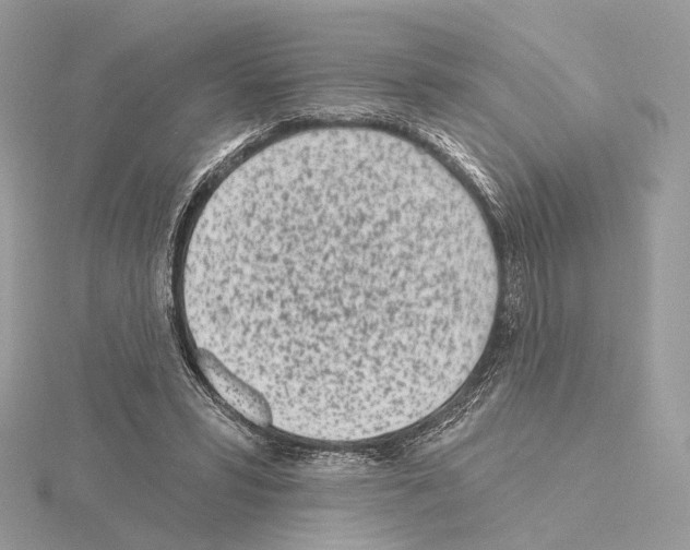 X0000115050399200912071134