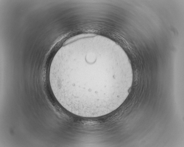 X0000115050400200912071134