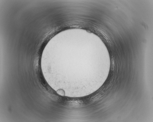 X0000115050404200912071134