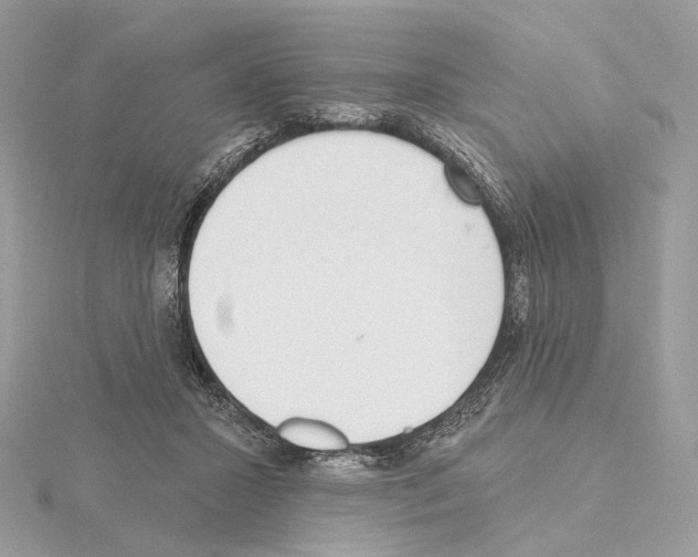 X0000115050407200912071134