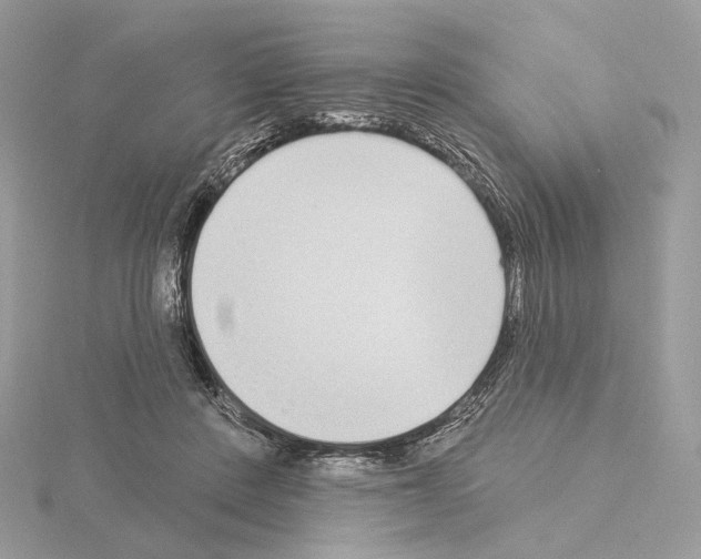 X0000115050408200912071134