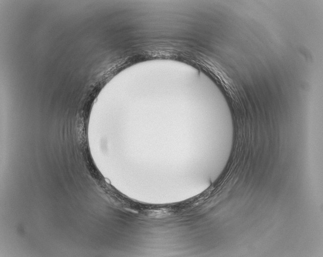 X0000115050411200912071134