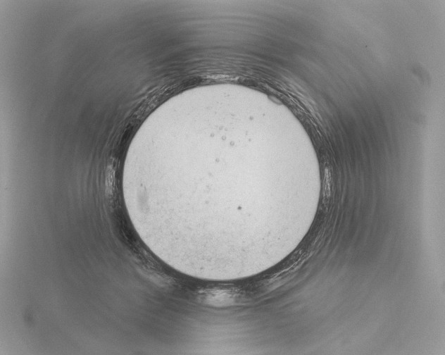 X0000115050412200912071134