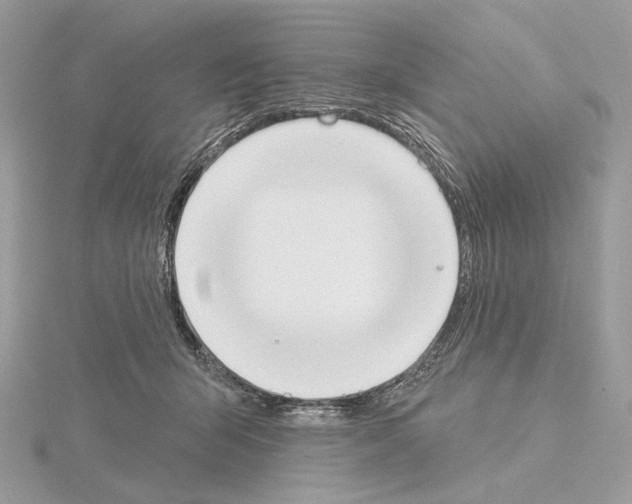 X0000115050415200912071134