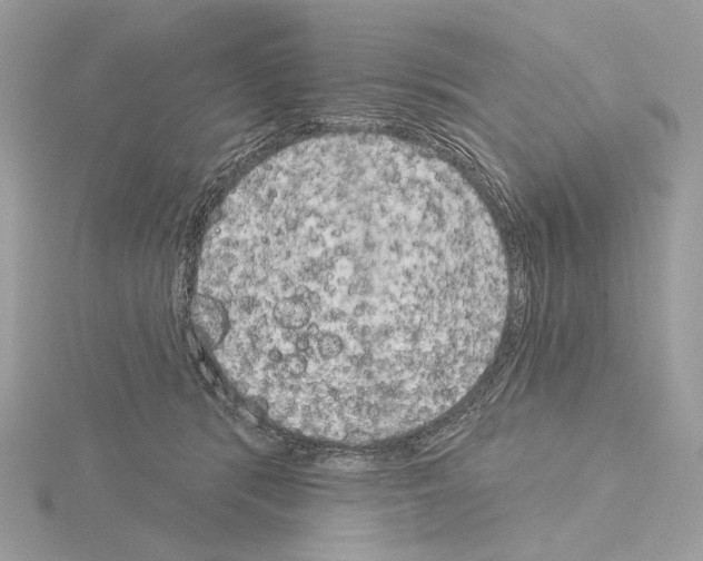 X0000115050416200912071134