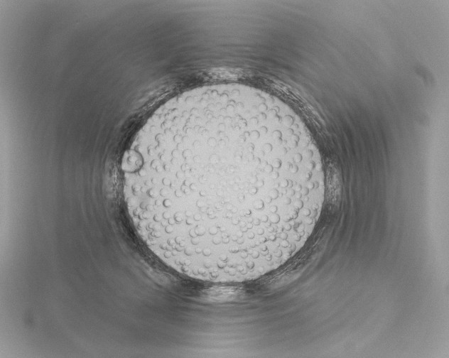 X0000115050418200912071134