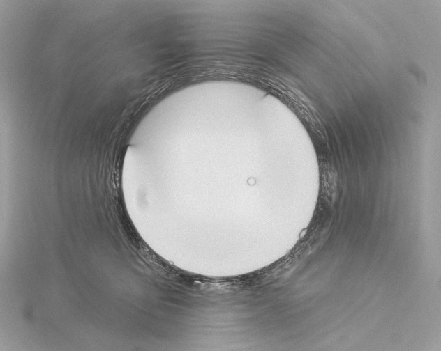 X0000115050419200912071134