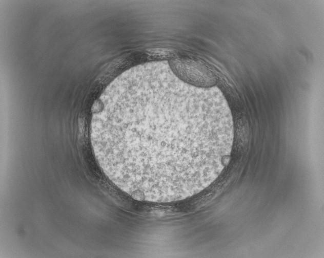 X0000115050420200912071134