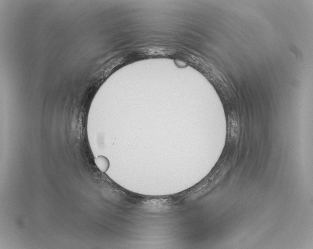 X0000115050422200912071134