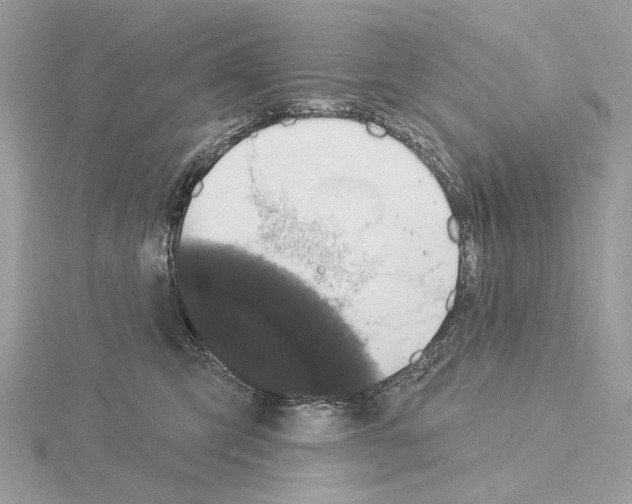 X0000115050423200912071134