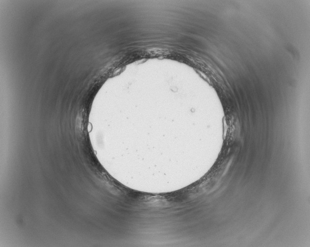 X0000115050424200912071134