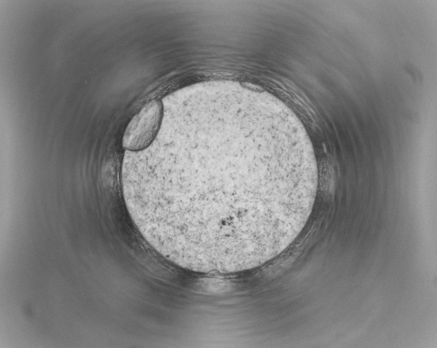 X0000115050425200912071134