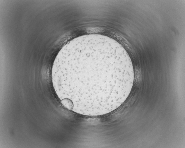 X0000115050426200912071134