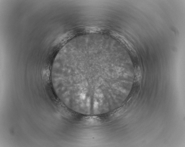 X0000115050427200912071134