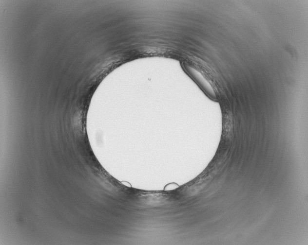 X0000115050428200912071134