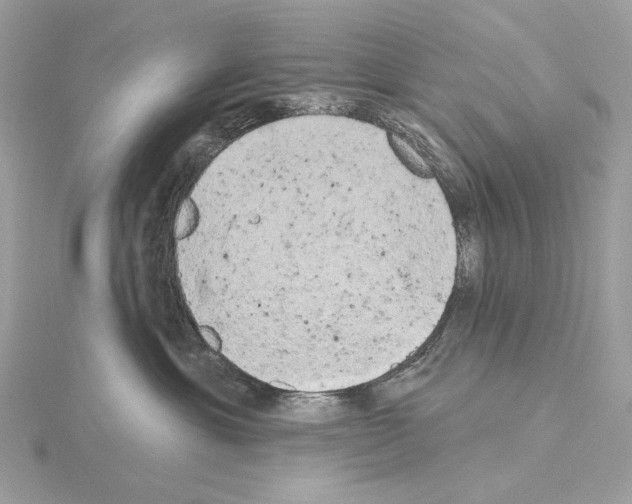 X0000115050429200912071134