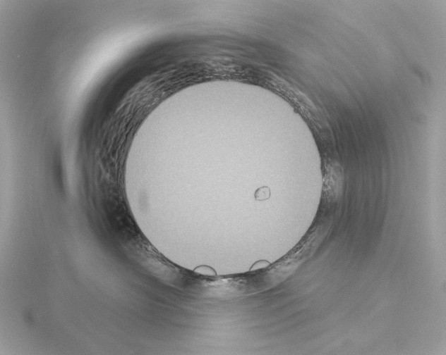 X0000115050430200912071134