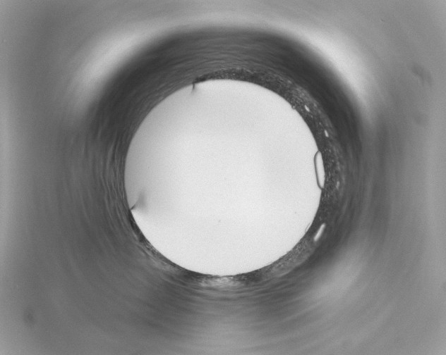 X0000115050431200912071134