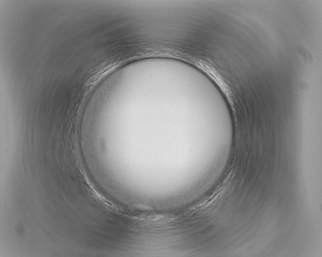 X0000115050433200912071133