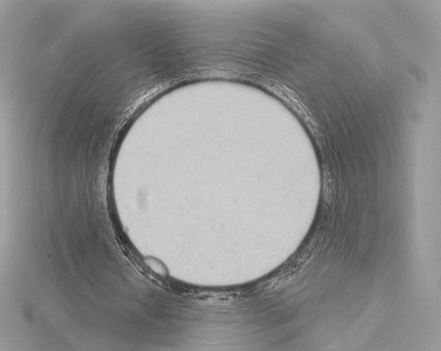 X0000115050434200912071133