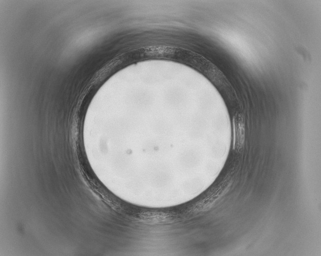 X0000115050435200912071133