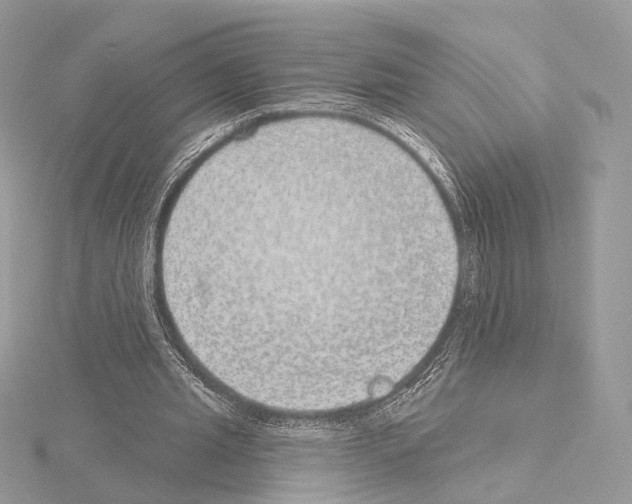 X0000115050437200912071133