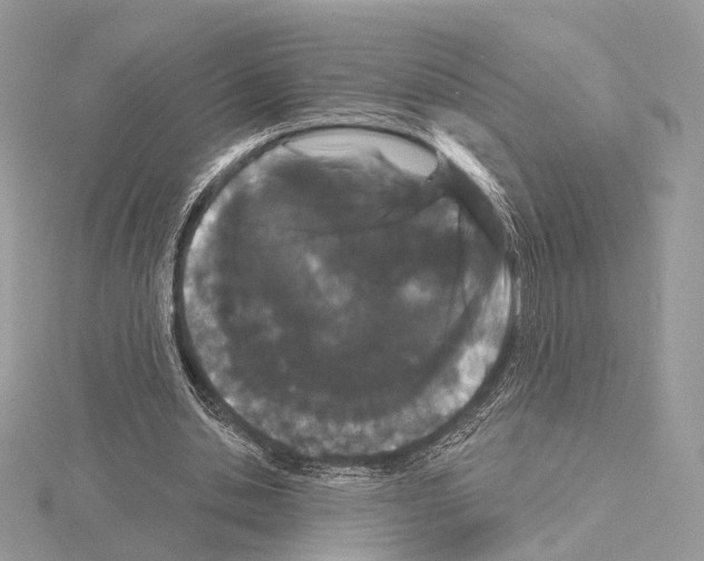 X0000115050438200912071133