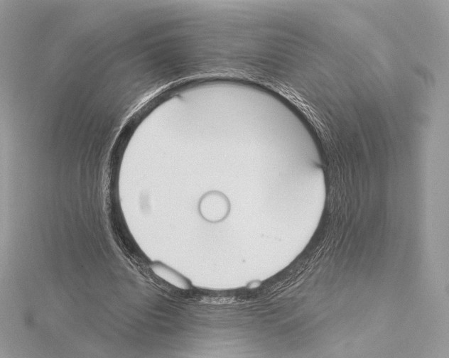 X0000115050440200912071133