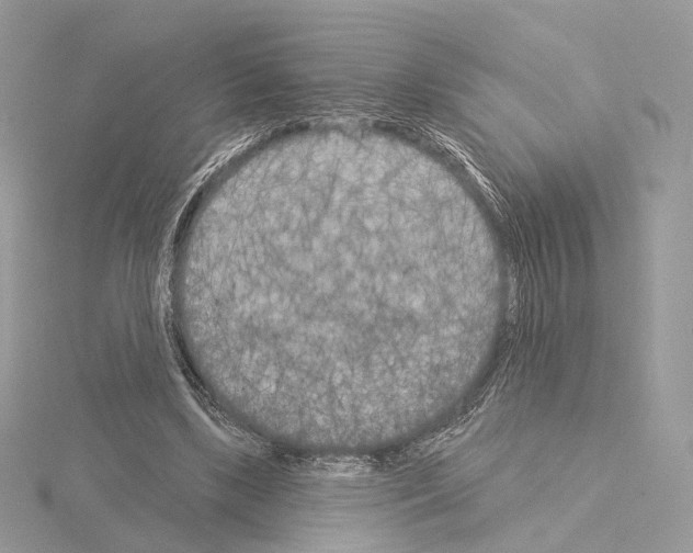 X0000115050443200912071133