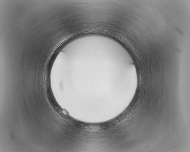 X0000115050444200912071133