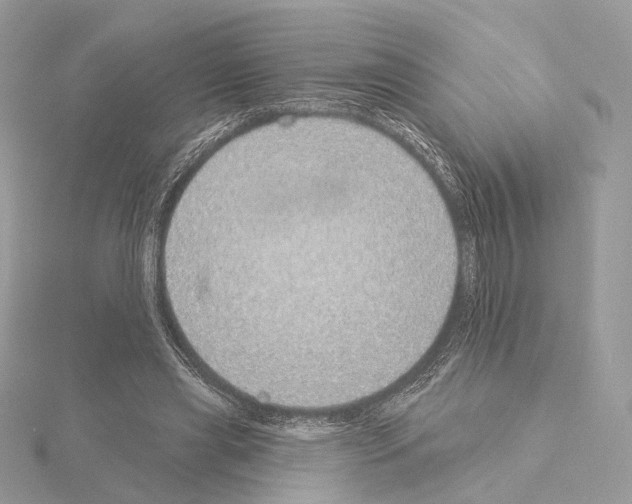 X0000115050445200912071133