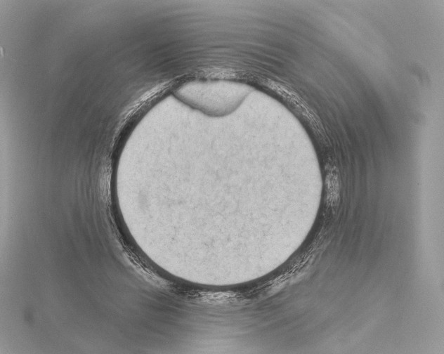 X0000115050446200912071133