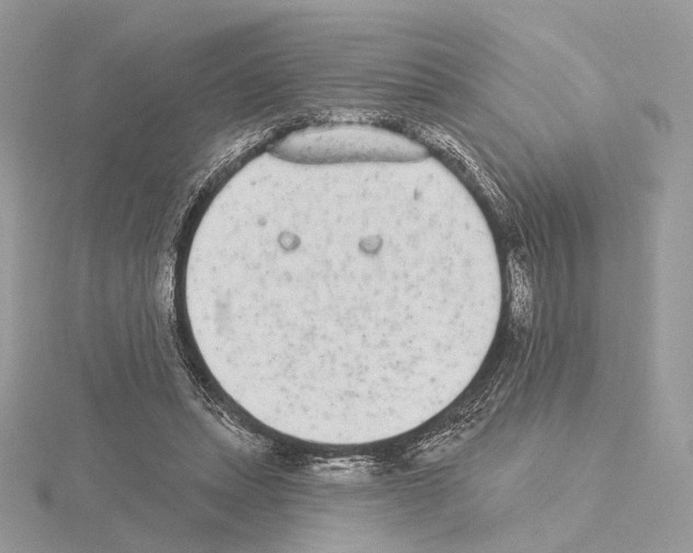 X0000115050447200912071133