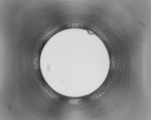 X0000115050450200912071133