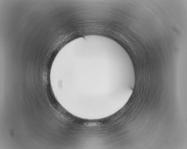 X0000115050452200912071133