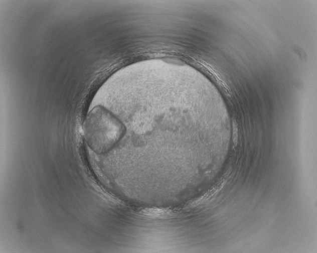 X0000115050453200912071134