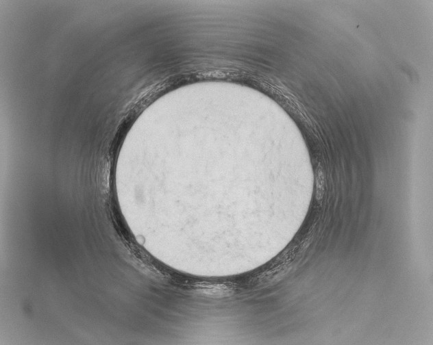 X0000115050454200912071134