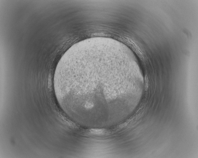 X0000115050457200912071134