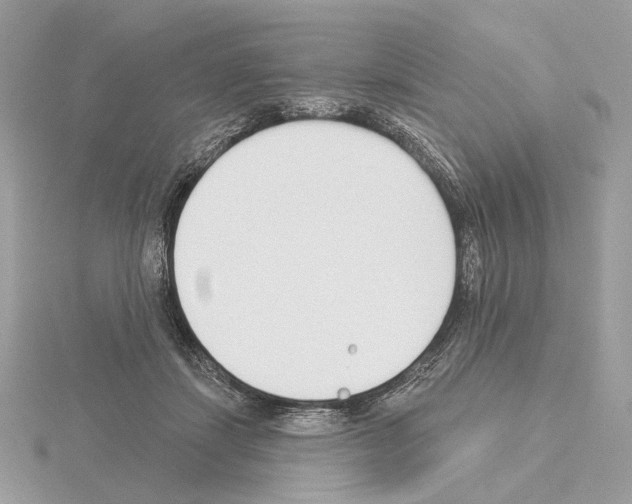 X0000115050459200912071134