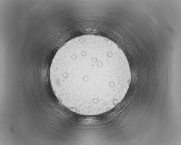 X0000115050460200912071134