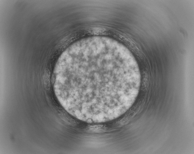 X0000115050461200912071134