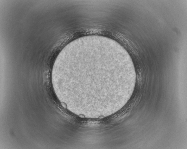 X0000115050462200912071134