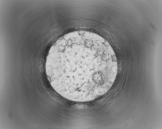 X0000115050464200912071134