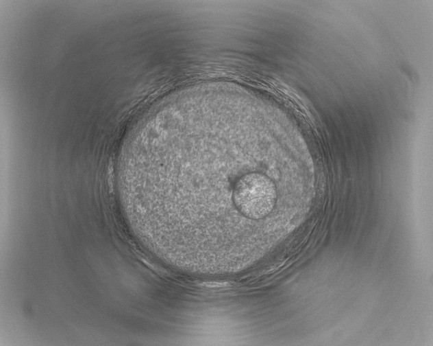 X0000115050465200912071134