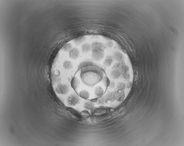 X0000115050466200912071134