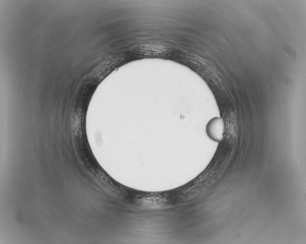 X0000115050468200912071134