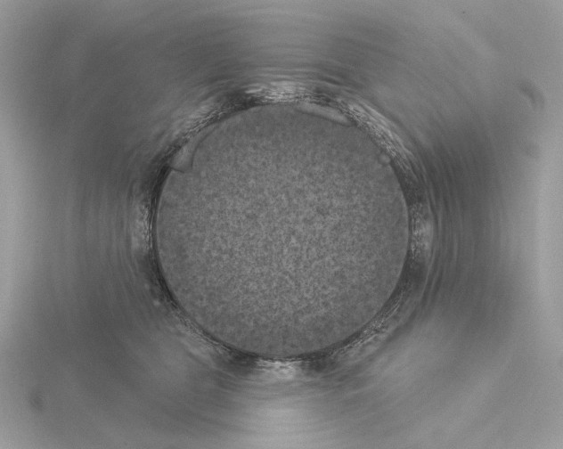 X0000115050469200912071134